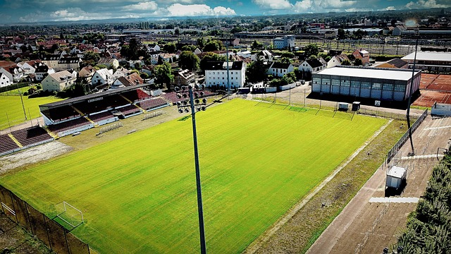 仍然是球队 仍然是球队