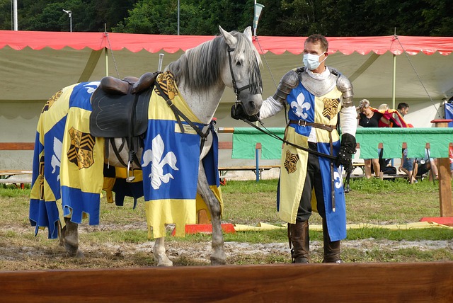 团队球员代 团队球员代